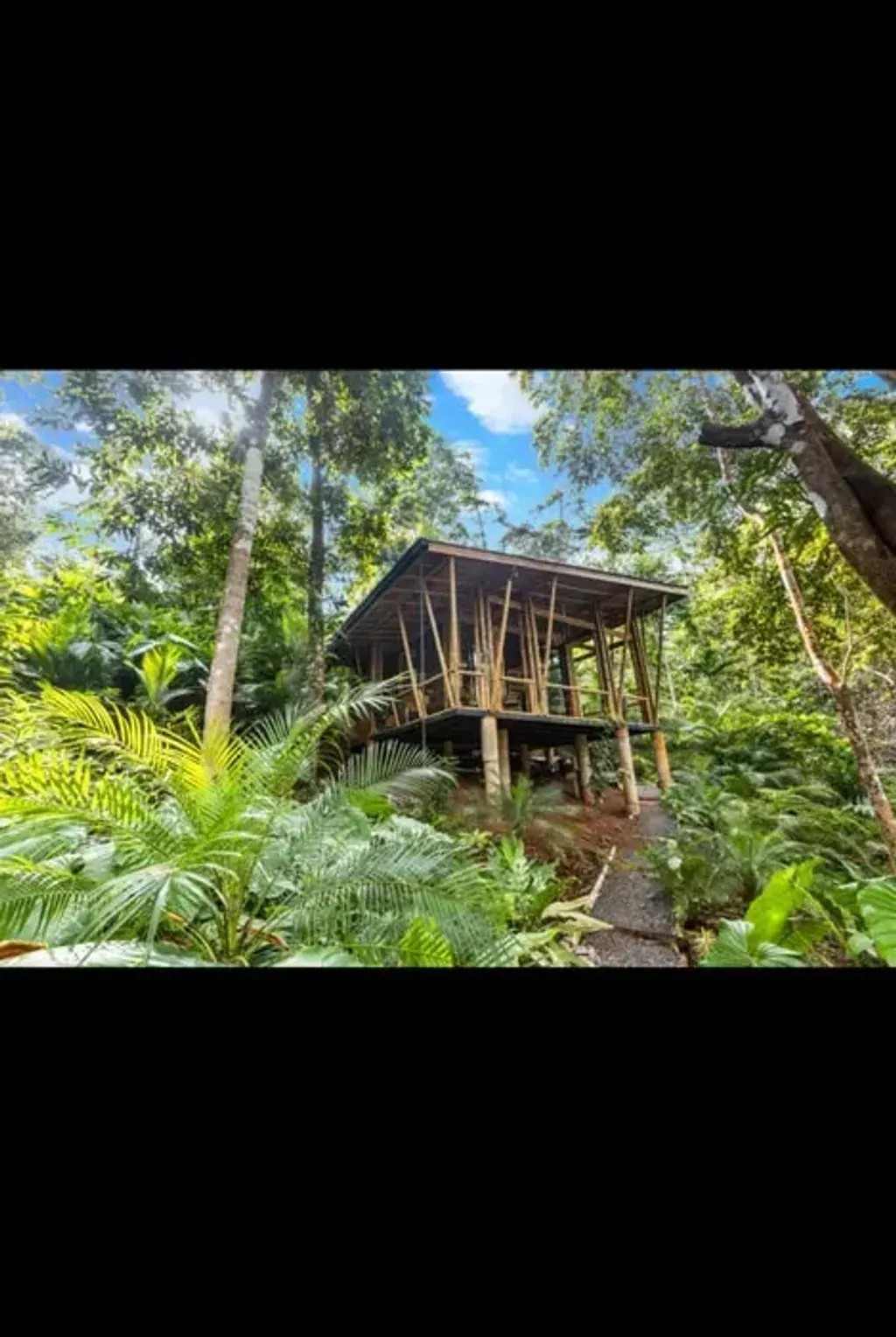 Follow the Sun — Follow the Sun is set amidst the breathtaking, verdant rainforests of Costa Rica, near the coastal towns of Jaco and Playa Hermosa. The atmosphere is one of profound connection with nature, with lush jungle surrounding the eco-cabins and private trails inviting exploration of the vibrant local wildlife.