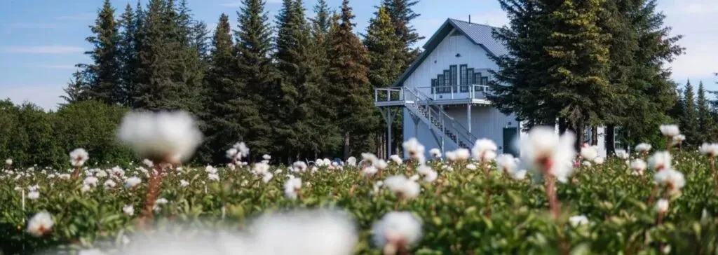 Full Heart Collective — set in the scenic beauty of Homer, Alaska, the retreat unfolds across various charming venues. Yoga, meditation, and workshops are held in the rustic Barn at Danish Daughter Farm, offering a serene and inspiring atmosphere. Meals are a communal affair, enjoyed across the street at the Full Heart Collective house, fostering connection and shared experience. A sauna is conveniently located nearby, well suited to unwinding after a day of introspection.
