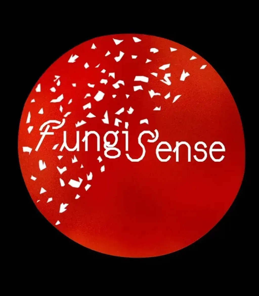 Fungasense — set in the picturesque region of Lugar Ferreira, the center is surrounded by the natural beauty of Lugo, Spain. The atmosphere is one of peaceful seclusion, offering a quiet escape from the hustle and bustle of city life. The landscape is characterized by its lush greenery and a sense of calm that encourages introspection and relaxation.