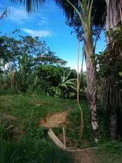 Giuseppe Rosato — set deep within 250 acres of the Amazon rainforest, the center offers a truly immersive jungle experience. Living quarters are perched on hills, providing expansive views of the verdant canopy. The atmosphere is one of profound tranquility and natural beauty, far removed from urban life.