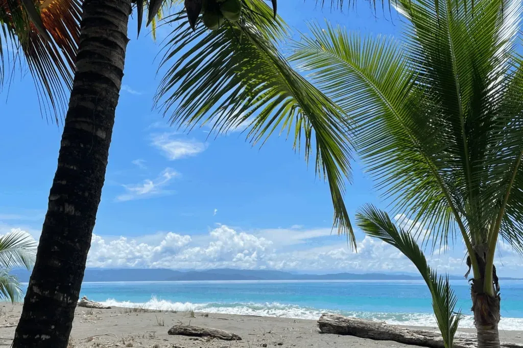 Golden Veda Collective — set between the vibrant rainforest and the tranquil Pacific Ocean on Costa Rica's Osa Peninsula, the center offers an intimate eco-luxury sanctuary. The natural surroundings, with seamless blends of jungle and sea, create a peaceful atmosphere conducive to slowing down and reconnecting with oneself.