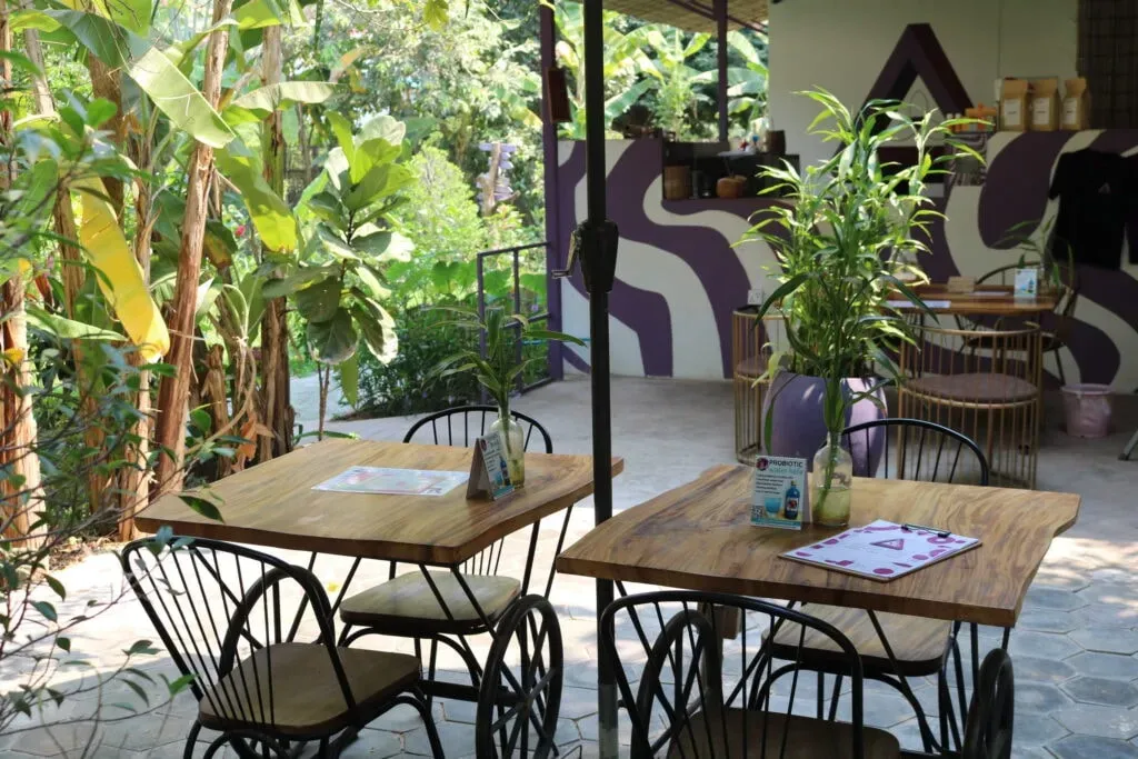 Ground Zero: Martial Arts & Yoga Cafe — Located in Krong Siem Reap, Cambodia, the center provides a vibrant and active setting for physical and mental training. The atmosphere is energetic, fostering a sense of community among participants dedicated to martial arts and yoga.