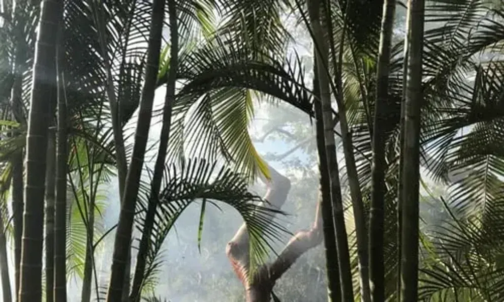 HALIKSAI — HALIKSAI is situated in the lush, vibrant jungle of Las Lomas, Nayarit. The environment is designed to be an integral part of the retreat experience, with an emphasis on coexisting with local flora and fauna. Expect a serene and immersive natural atmosphere.