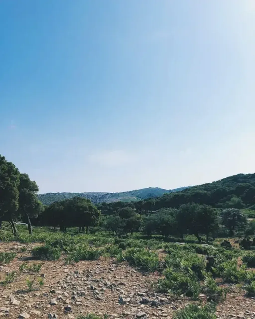 Hannah Hakkenberg — Perched high in the mountains of Ikaria, this private property offers a secluded and serene environment. The natural landscape provides a peaceful backdrop for introspection and healing, with fresh air and stunning views likely to be part of the daily experience.