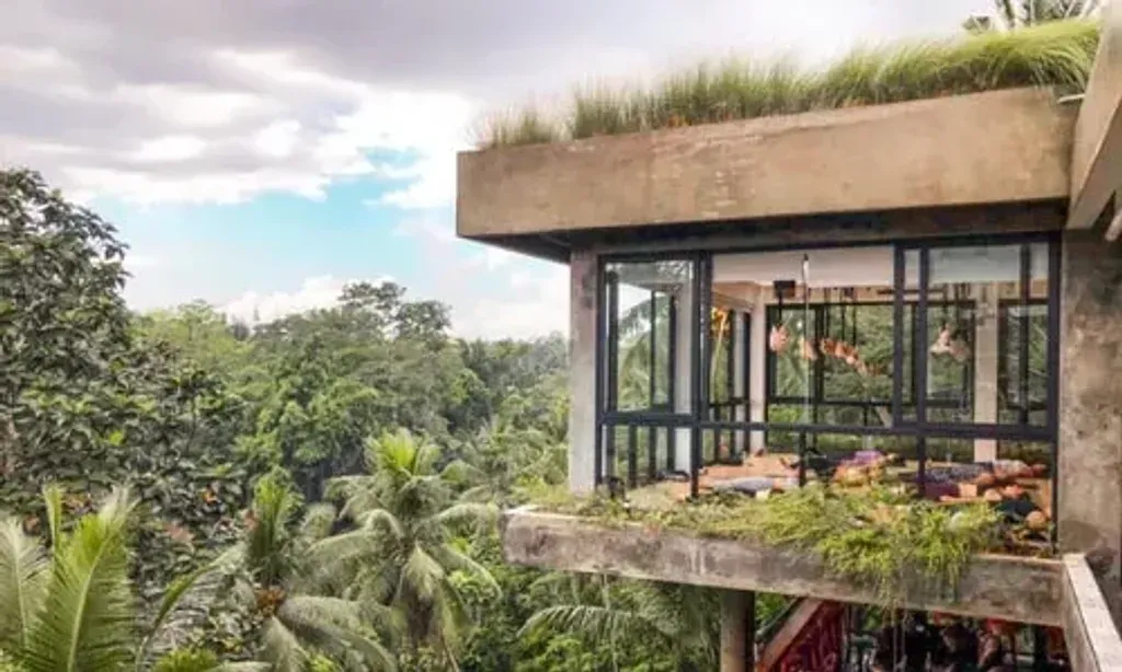 Happiness Safari — Happiness Safari is situated within the Bali Spirit Hotel and Spa in Ubud, Bali. This location offers a tranquil and lush environment, characteristic of Bali's natural beauty, providing a peaceful backdrop for introspection and relaxation.