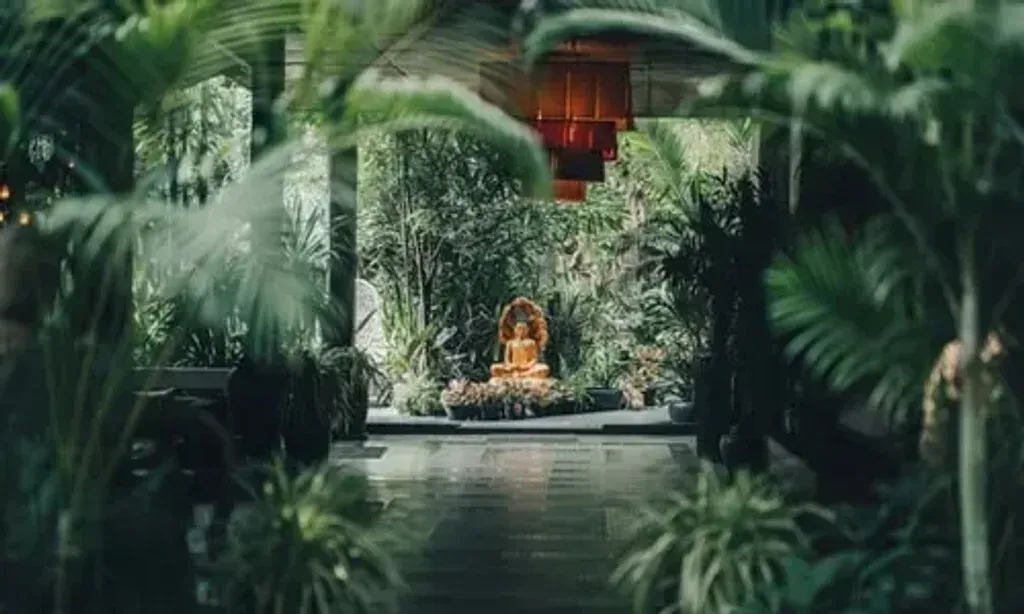 Hariharalaya Yogo & Meditation Retreat — The retreat is set within a tropical oasis, purpose-built to harmonize with its surroundings. It's situated in the heart of a traditional Cambodian village in Siem Reap, offering an authentic and tranquil atmosphere where common spaces and facilities are thoughtfully integrated into the natural landscape.