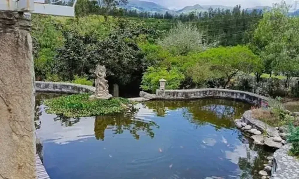 Harmony Retreats — Located in Quito, Ecuador, the retreat offers a serene environment for healing and introspection. While specific details about the immediate landscape are not provided, the mention of Amazonian traditions suggests an emphasis on natural surroundings and a connection to the earth.