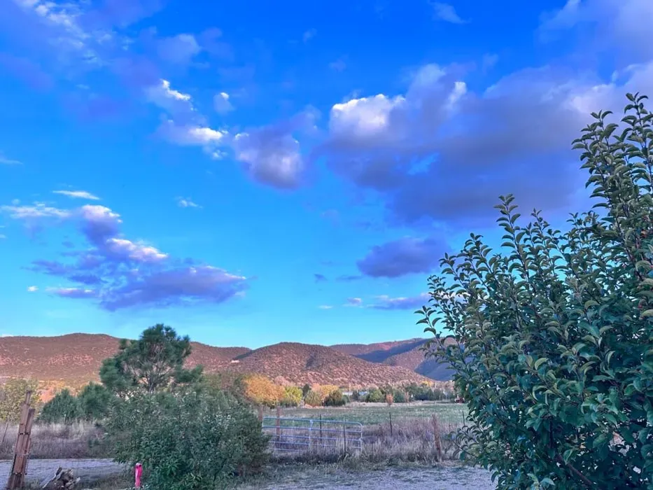Harmony Taos Regenerative Farm Retreats — Harmony Farm is situated on ancestral Tiwa Pueblo land in the high desert of Taos, New Mexico. The four-acre property is a vibrant ecosystem of orchards, flower gardens, and seasonal vegetables, all cultivated using regenerative practices. Expansive views of the Sangre De Cristo mountains provide a dramatic and inspiring backdrop to this thriving agricultural landscape.