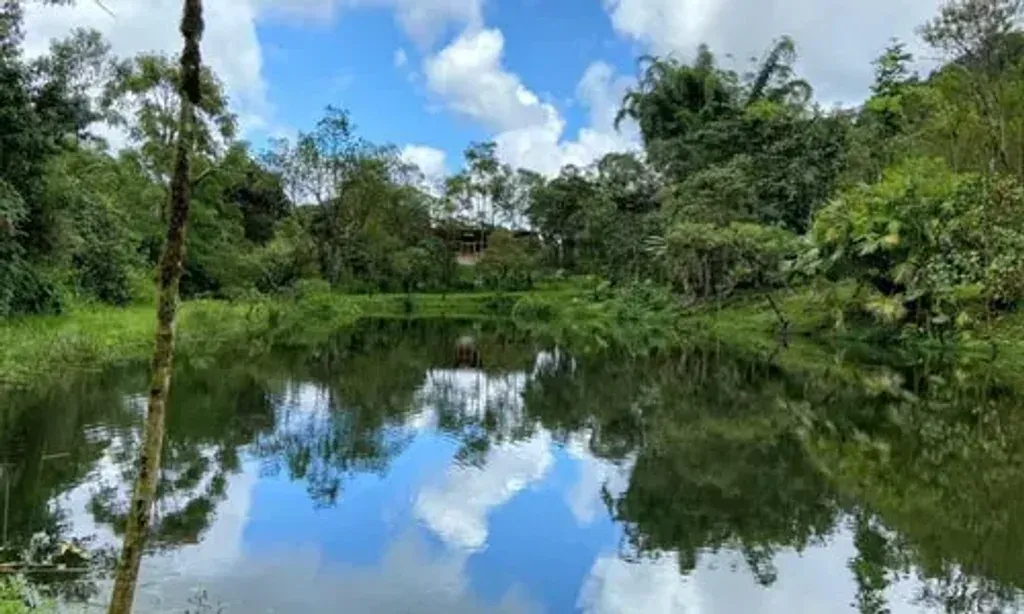 Hayulima Spiritual Sanctuary — Hayulima Spiritual Sanctuary is set within 112 hectares of pristine and protected cloud forest in Mindo, Ecuador. The surrounding environment is a vibrant ecosystem teeming with an abundance of wildlife, including toucans, hummingbirds, and butterflies, alongside native flora. Sacred ceremonies take place in various comfortable structures like malokas, teepees, and sweat-lodges, designed to facilitate gathering, prayer, singing, and shared experiences.