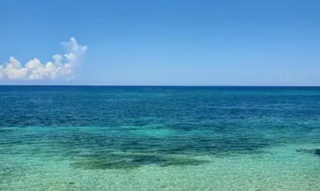 Healing With Psychedelic Mushrooms — This retreat is conveniently located just ten minutes from the International Airport in Montego Bay, offering easy access while still providing a natural environment for introspection and healing. The setting in St. James, Jamaica, suggests a warm, tropical climate well suited to outdoor activities and relaxation amidst nature's beauty.