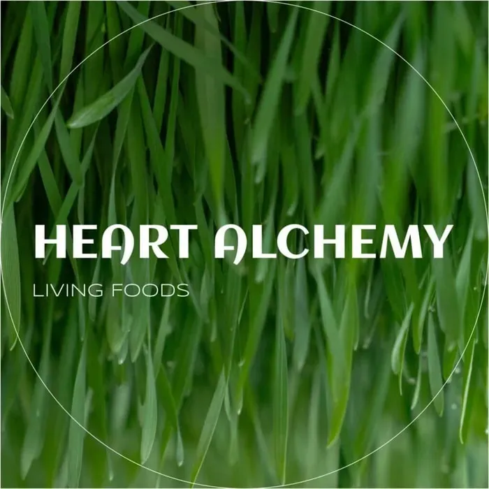 Heart Alchemy — Heart Alchemy is situated in Praia das Maçãs, a charming coastal village in Portugal, offering a blend of sun-filled intimacy and natural beauty. The venue itself provides a peaceful garden courtyard for relaxation and dining, complemented by a warm, minimalist indoor space for practice. Simple, natural details throughout create a grounded and welcoming atmosphere.