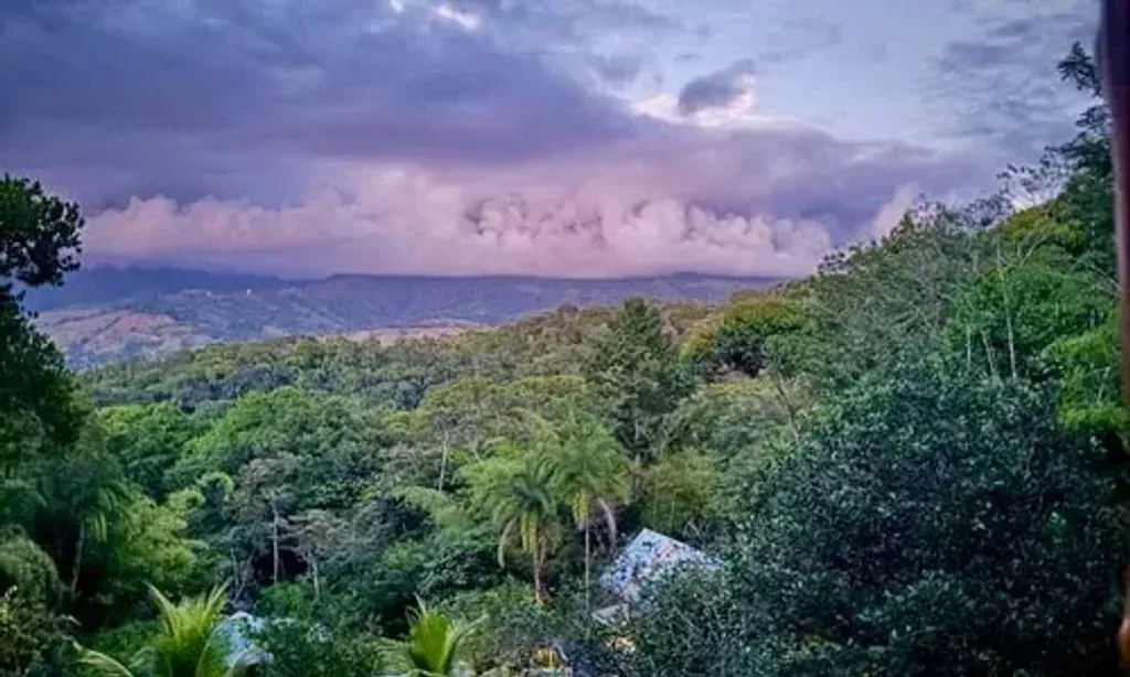 Heart Fire Hub — The retreat unfolds at the Ārūḍha Spiritual Sanctuary, set on Costa Rica's Pacific Coast. This spectacular location boasts two miles of pristine white sand, forming a unique whale-like shape. The environment is teeming with wildlife, from migrating humpback whales to playful monkeys and colorful exotic birds, creating a naturally vibrant and immersive backdrop for deep spiritual work.