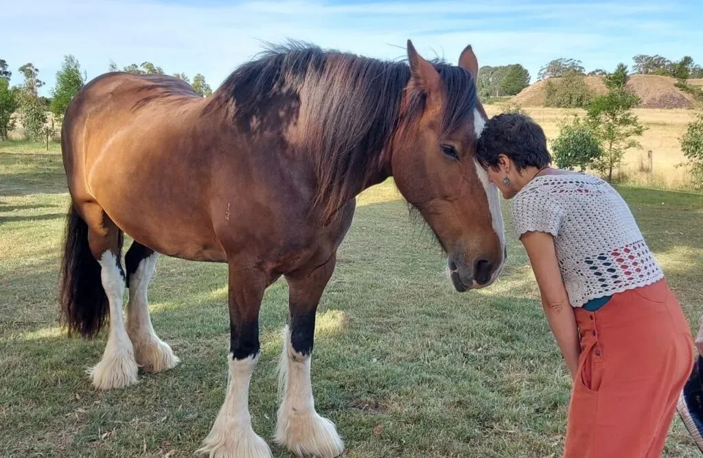 Heart of the Horse — Heart of the Horse is situated on 13 acres in Drummond North, offering stunning views from its eco-designed mud brick home. The peaceful rural location, just over an hour from Melbourne, provides a serene backdrop for unwinding and recharging.