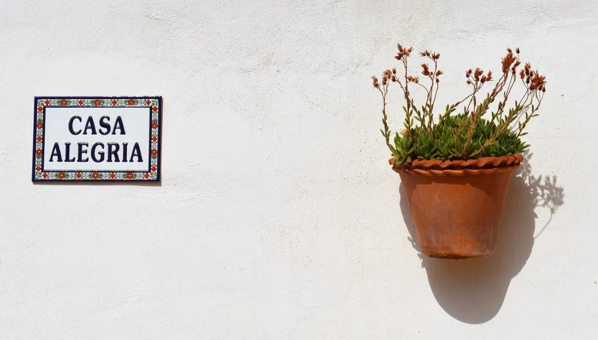 Helena Demuynck — Perched within the Montes de Malaga, the center boasts stunning panoramic views of the surrounding natural landscape. It's a remarkably quiet location, enveloped by the peaceful ambiance of magnificent old trees, offering a deep sense of calm and natural beauty.