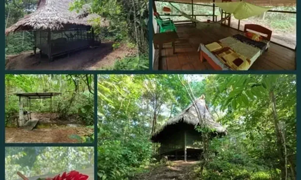 Home of Ayahuasca — set deep within the Amazon jungle near Iquitos, the center provides a truly immersive natural environment. The atmosphere is one of profound tranquility and seclusion, far removed from the distractions of urban life. The lush, vibrant jungle surrounds offer a powerful backdrop for introspection and healing.