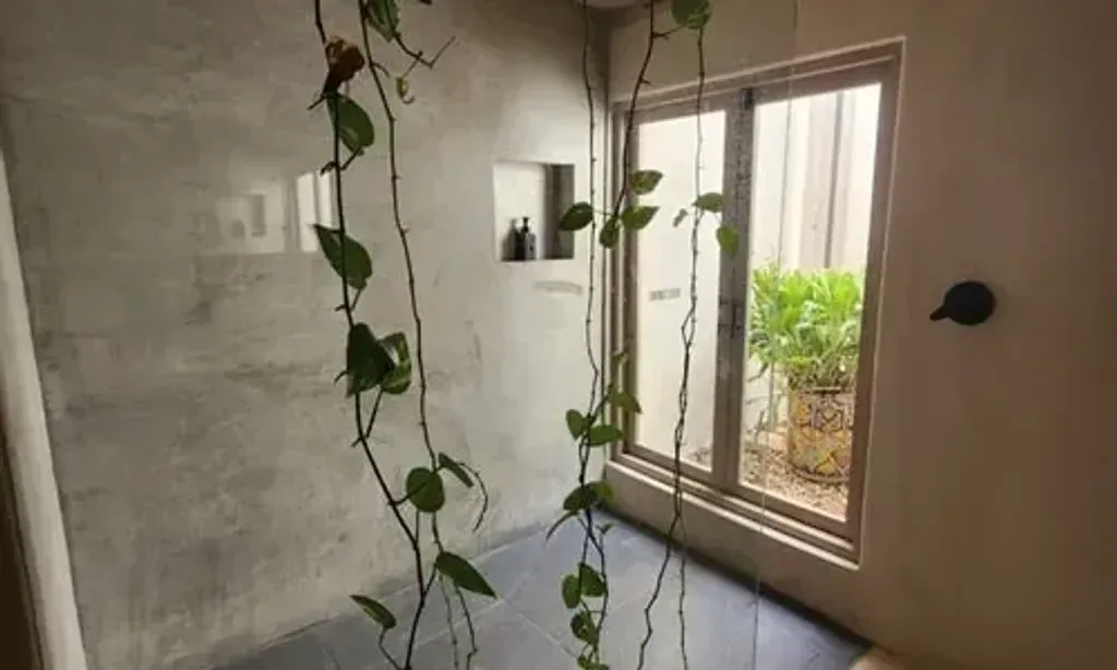 Hope Psychedelic Plant Medicine Retreat — The retreat center is set within a vibrant tropical jungle in the Cancun area. The location holds historical significance, being built on the site of a previous Mayan birthing center, which lends an authentic indigenous Mayan atmosphere to the entire space.
