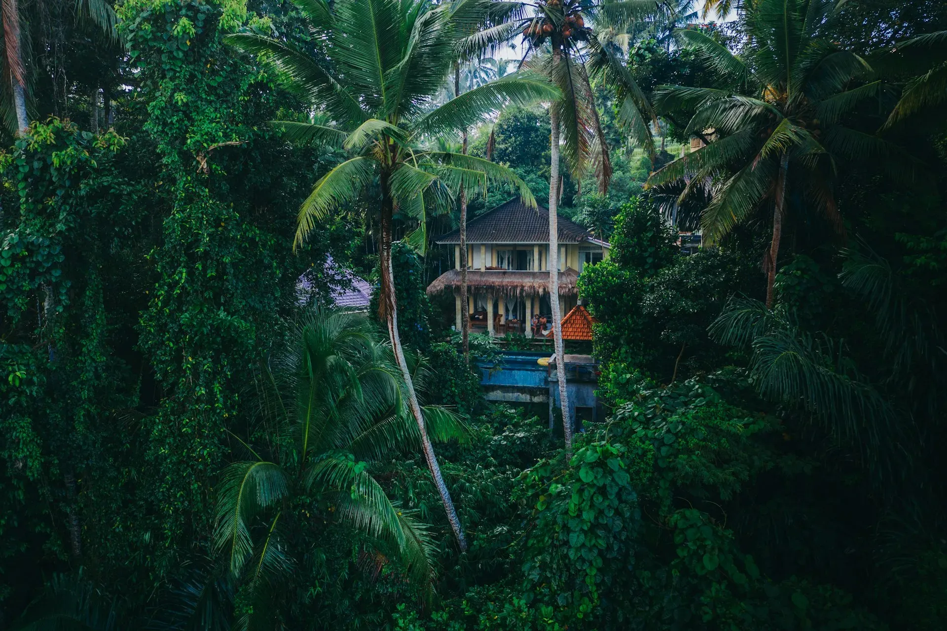 House of Om Bali — Located in Bona, Gianyar Regency, House of Om Bali is situated amidst the lush, verdant landscapes that Bali is famous for. Expect a tranquil atmosphere, surrounded by tropical greenery, offering a peaceful backdrop for intensive study and practice.