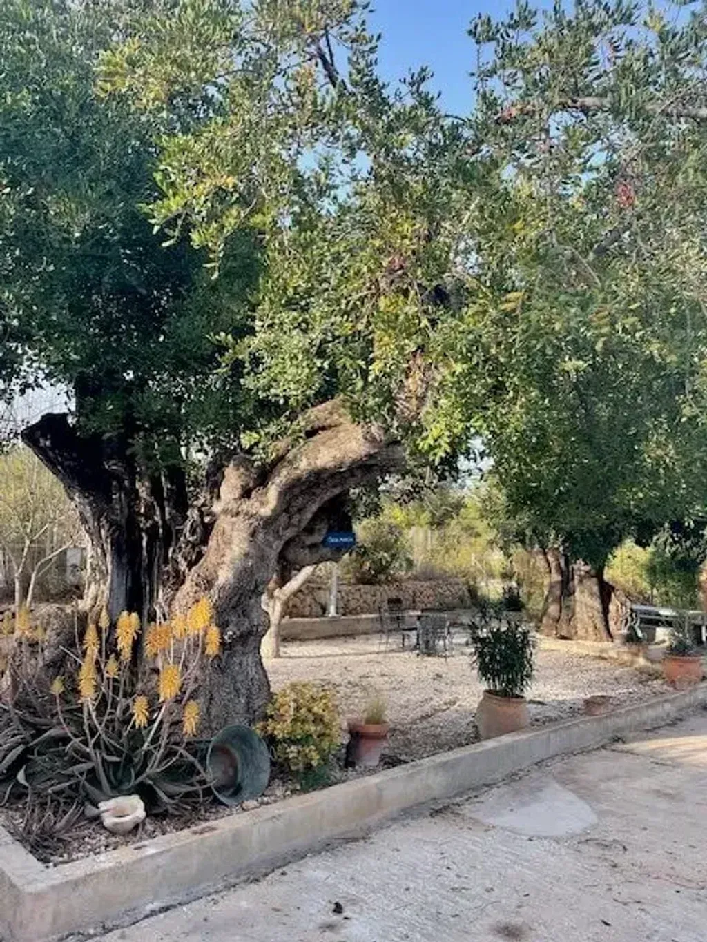 Humhack — The center is situated in Polop, a town in the Alicante province. While specific details about the immediate surroundings are scarce, the region is known for its Mediterranean climate and proximity to the coast and mountains. The focus appears to be more on the internal journey and program content rather than an immersive natural setting, though the area itself offers scenic beauty.