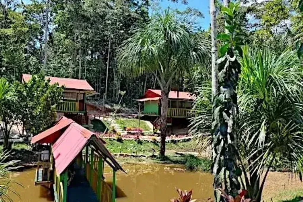 Hummingbird Healing Center — The center is situated in the lush Amazon jungle, just outside Iquitos, Peru. Beautifully landscaped grounds and gardens create a serene and tranquil environment, fostering a sense of peace and natural beauty conducive to deep personal work and transformation.