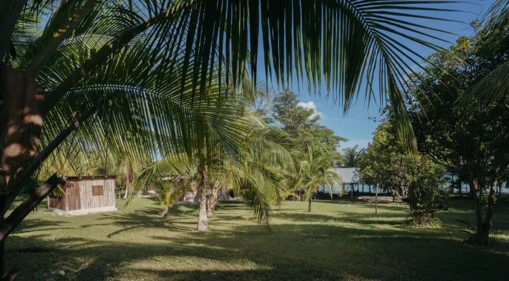 Hunab Amaya — Situated on a 'secret private land' along the Bacalar Lagoon, the center boasts a sacred garden with 150 meters of waterfront. The atmosphere is one of rustic tranquility, with natural elements like a ceremonial area, a large palapa, and a fireplace creating a grounded and peaceful environment.