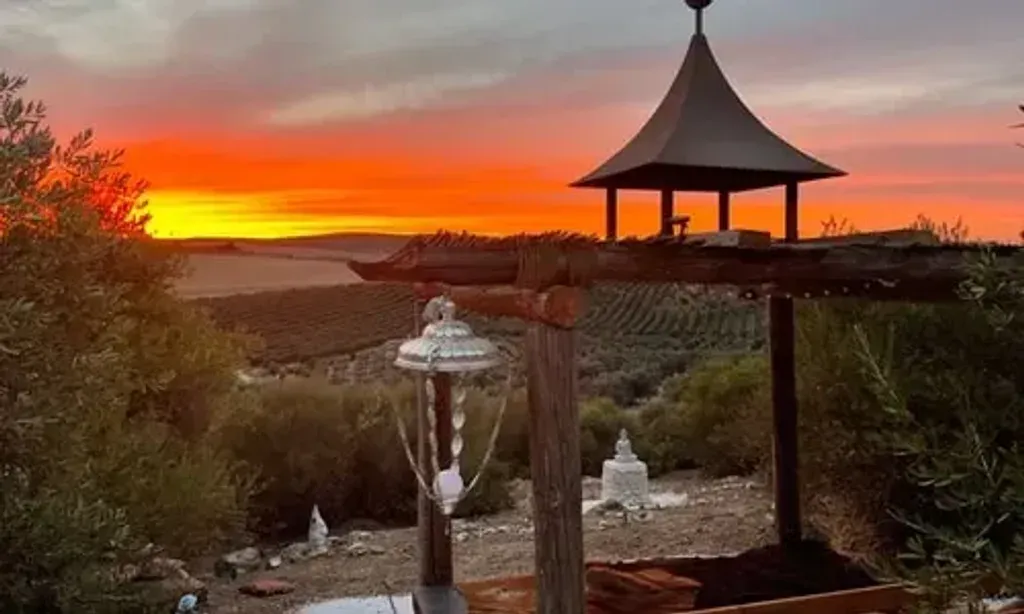 Inner Alchemy TVM Training Retreats — The retreat unfolds at Cortijo San Jose, a beautifully renovated farmhouse set amidst a vast expanse of olive trees. The tranquil rural setting offers a peaceful escape, with the added charm of a nearby lagoon frequented by flamingos, providing a unique natural spectacle.