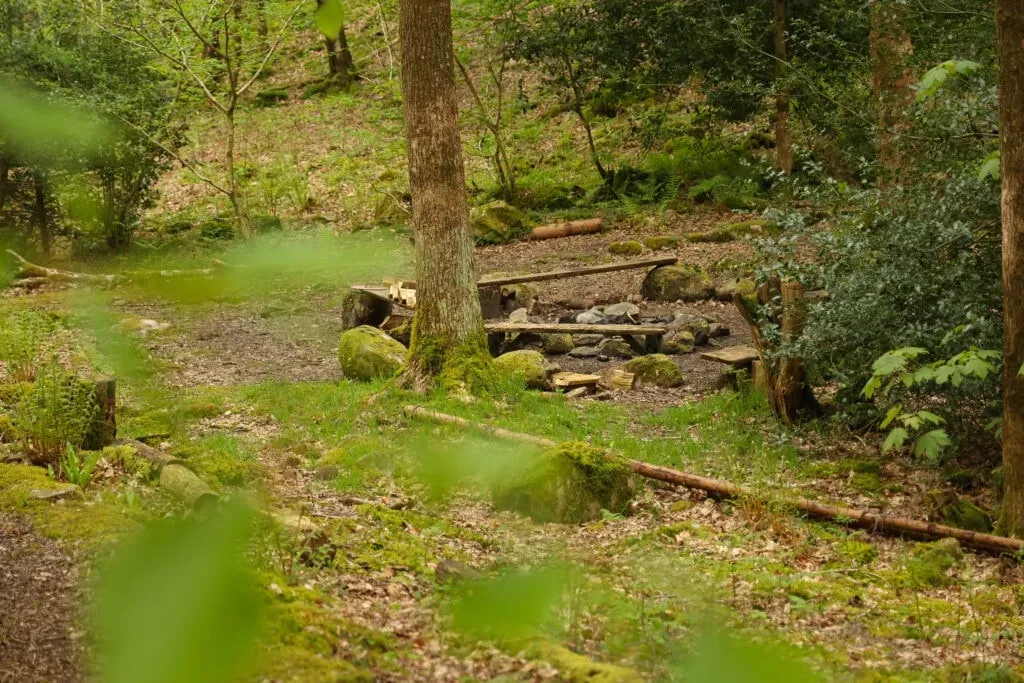 Into the wild wellness — The retreat unfolds at Rookhow, a peaceful off-grid venue set within the stunning natural beauty of the Rusland Valley in Cumbria. Surrounded by ancient woodland and open countryside, the site provides a quiet and private immersion in nature. A central fire pit area among the trees serves as a natural gathering space, complemented by a small stream gently winding through the forest.