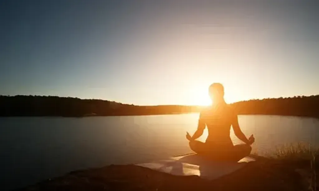 Intuitive Business Connections — The center is situated in a cozy lakefront chalet in the picturesque Laurentian mountains of Quebec, less than an hour from Montreal. The natural environment is a key part of the experience, with opportunities to hear loons, spot local wildlife like deer and foxes, and wake to the sounds of birds and a flowing river. This tranquil setting is designed to nurture and refresh guests.