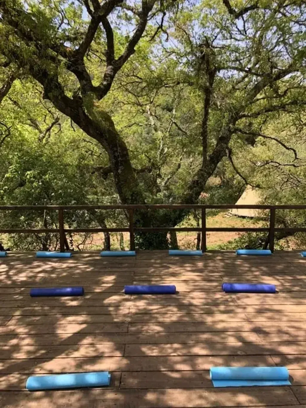 Iolanda Doroteia — Iolanda Doroteia is situated in Monte Orada, a location that suggests a tranquil and natural environment conducive to introspection and personal growth. The atmosphere is designed to be nurturing and sacred, providing a peaceful backdrop for participants to engage in their journey of self-discovery.