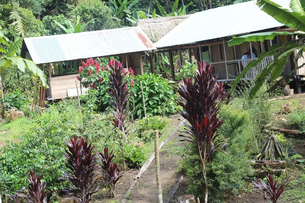 Isabel Cali — Pasourcu is set in a remote, lush area of the Upper Amazon, surrounded by vibrant jungle. The atmosphere is one of deep connection to nature and the indigenous Kichwa culture, offering a truly immersive and grounding experience away from the modern world.