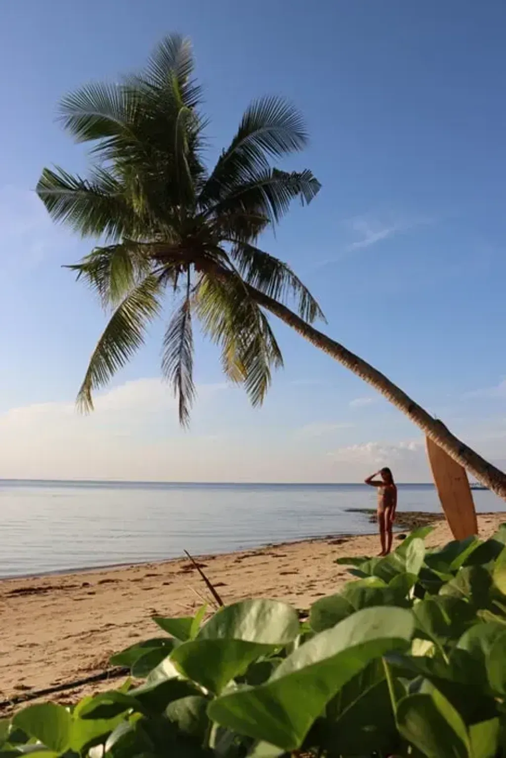 ISLANDS WITH Z — set in the tropical paradise of Siargao, Surigao del Norte, the retreat offers a vibrant island setting. Expect lush greenery, proximity to the ocean, and the lively atmosphere of local Filipino life. The environment is designed for both relaxation and cultural engagement, providing a refreshing escape.