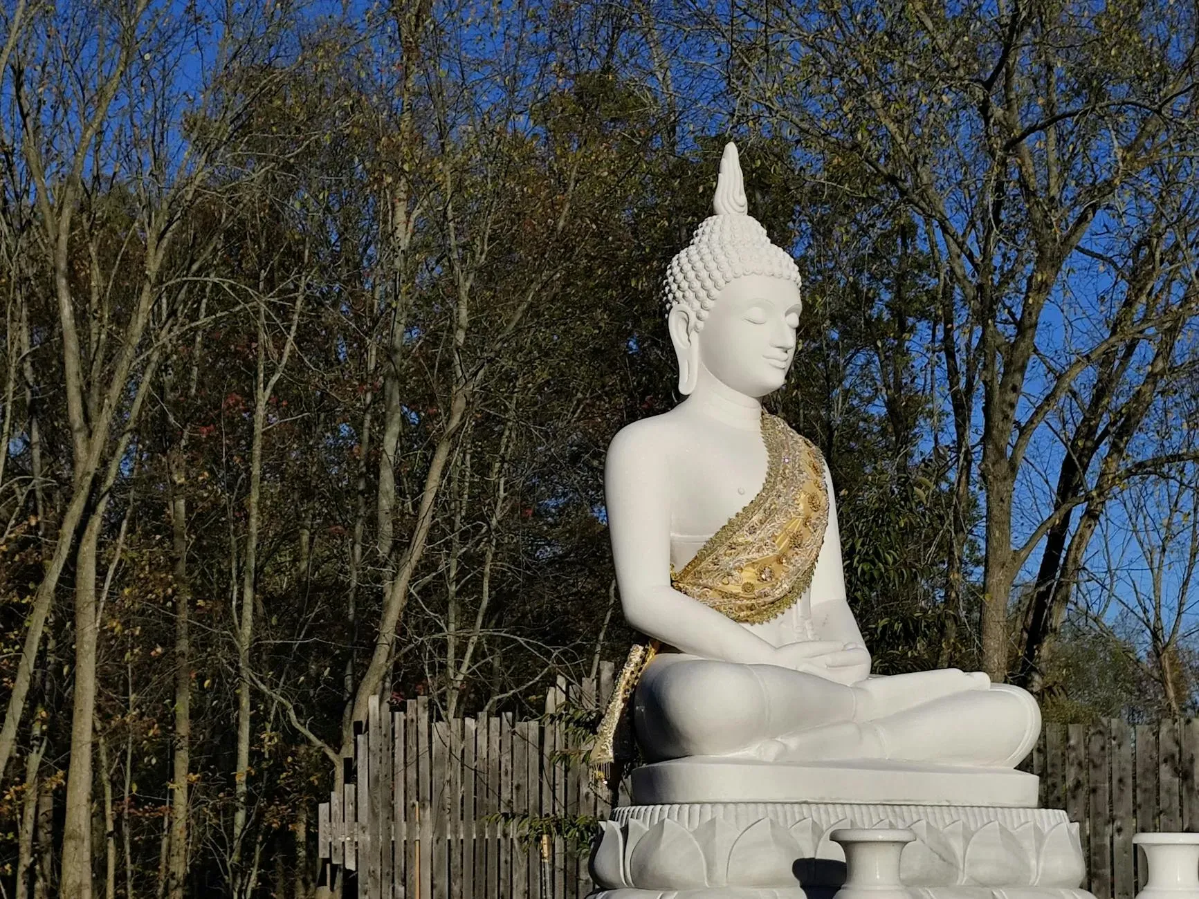 Jenny Zheng — Located in the vibrant city of Austin, Texas, this retreat offers an urban setting rather than a secluded natural escape. Participants can expect a lively atmosphere, with the convenience of city amenities alongside dedicated spaces for yoga practice and relaxation.