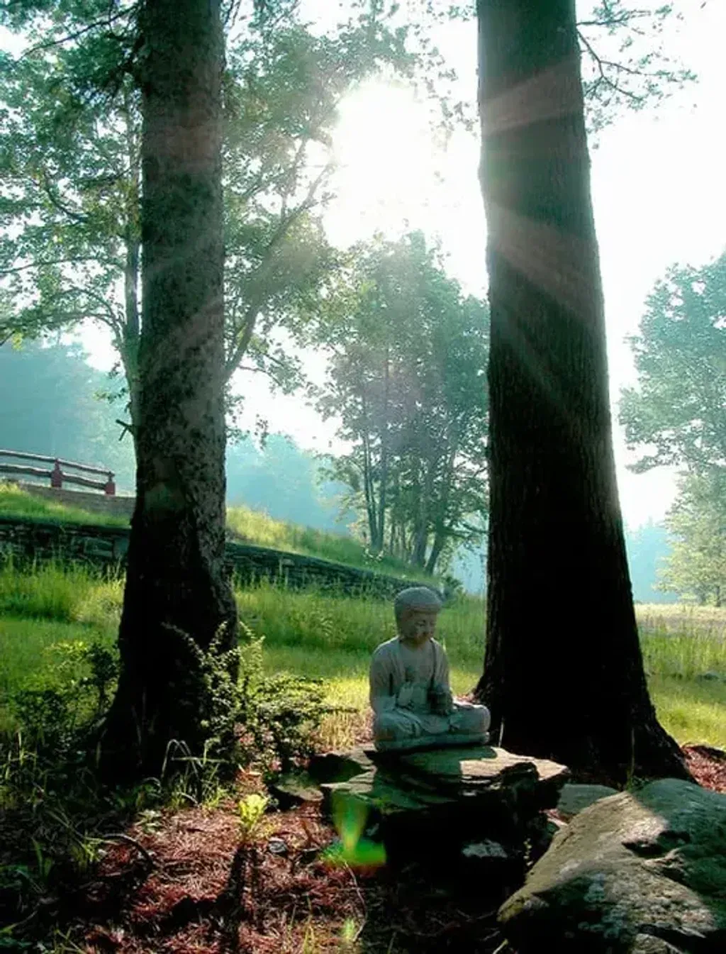 Ketamine, Summer Solstice Healing Retreat — The retreat is located at 375 Pantherkill Road in Phoenicia, NY, suggesting a tranquil, natural environment. While specific details about the landscape are not provided, the address implies a setting conducive to introspection and healing, away from urban distractions.