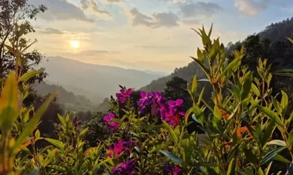 Kolinda — Kolinda is situated on seven hectares of forest, surrounded by the natural beauty of mountain streams, fresh spring water, and wide-open skies. The atmosphere is one of simple, nature-based living, fostering a sense of peace and connection to the environment.