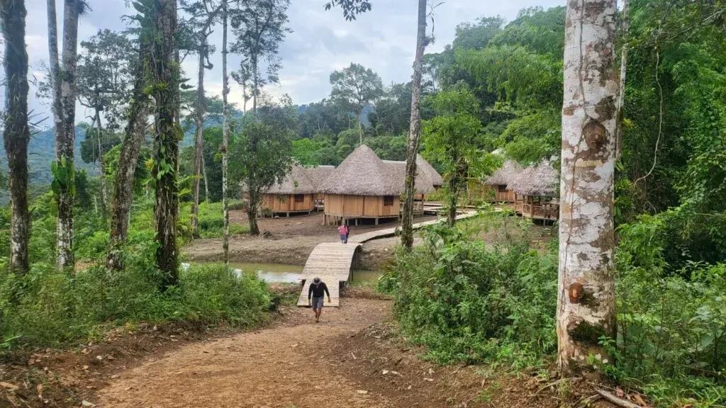Kurikindi Kawsay Centre — The center is situated in the heart of the Ecuadorian Amazon Rainforest, offering an immersive experience within a vibrant natural environment. Expect lush greenery, the sounds of the jungle, and a profound sense of being disconnected from urban life.
