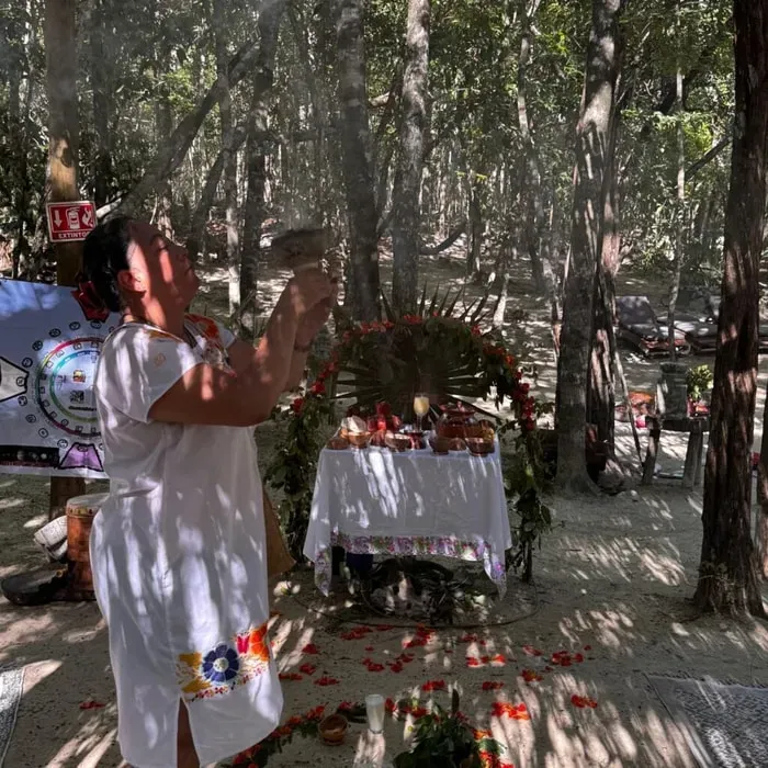kusuma sak ij — The center is situated within the Valparaiso Selva Maya Hotel, offering a dedicated space for healing and transformation. It's designed to foster a connection with both spiritual essence and the living forces of nature, creating an atmosphere of balance and integration.