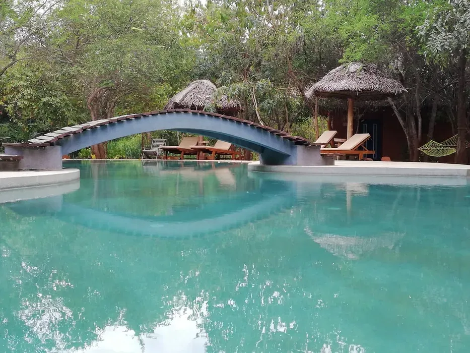 Kuwera Eco Lodge — The lodge is set in a rural village, completely surrounded by nature, offering a quiet and peaceful atmosphere. It's conveniently located near the Sigiriya Rock Fortress, allowing for easy exploration of the region's rich archaeological sites and cultural heritage.