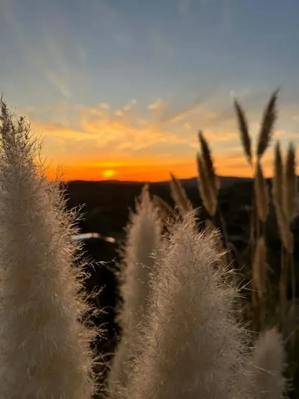 LGBTQMINDFULNESS — The retreat is situated on sacred, gated land in Valle de Guadalupe, Mexico, offering a private and secure environment. Surrounded by mountains and bathed in sun, it provides a tranquil escape from the demands of everyday life, fostering a sense of peace and connection with nature.