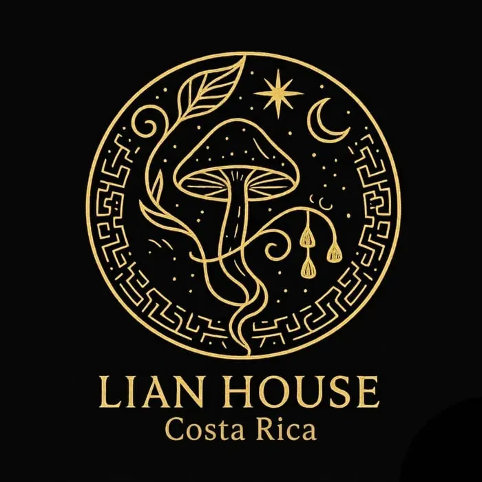 Lian House — set in the peaceful, green area of Mollejones de Platanares, the property is far from crowds, providing a tranquil and secluded environment. It's located about 15-20 minutes southeast of San Isidro de El General, offering a balance of accessibility and natural serenity.