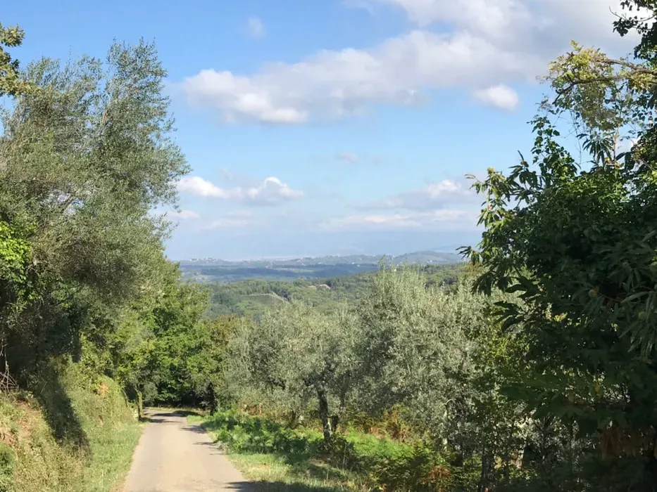 Life is an Art — The center is set in a gorgeous, sprawling Italian borgo, offering breathtaking views of rolling hills and olive groves. Florence glitters in the distance, while the lower Apennine mountains provide a dramatic backdrop. The atmosphere is one of serene beauty and rustic charm, well suited to creative exploration.