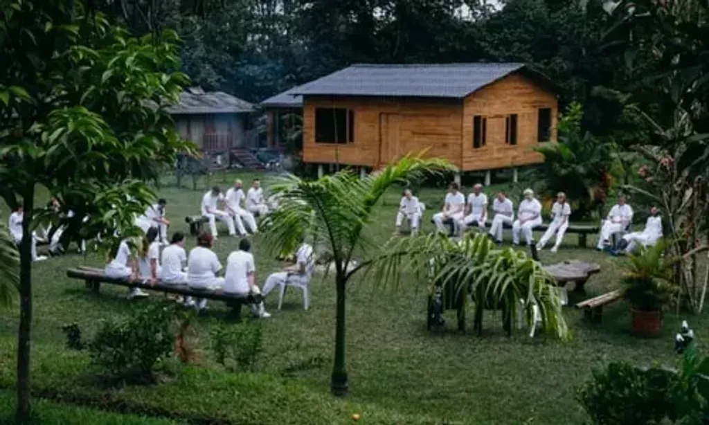 Life Retreat - Victor Alexeev — The retreat is situated in Santo Domingo de los Tsachilas, Ecuador, a region known for its vibrant natural beauty and proximity to the Amazon. While specific details about the immediate surroundings of the center aren't provided, expect a rich, jungle-like environment that fosters deep immersion and connection with nature.