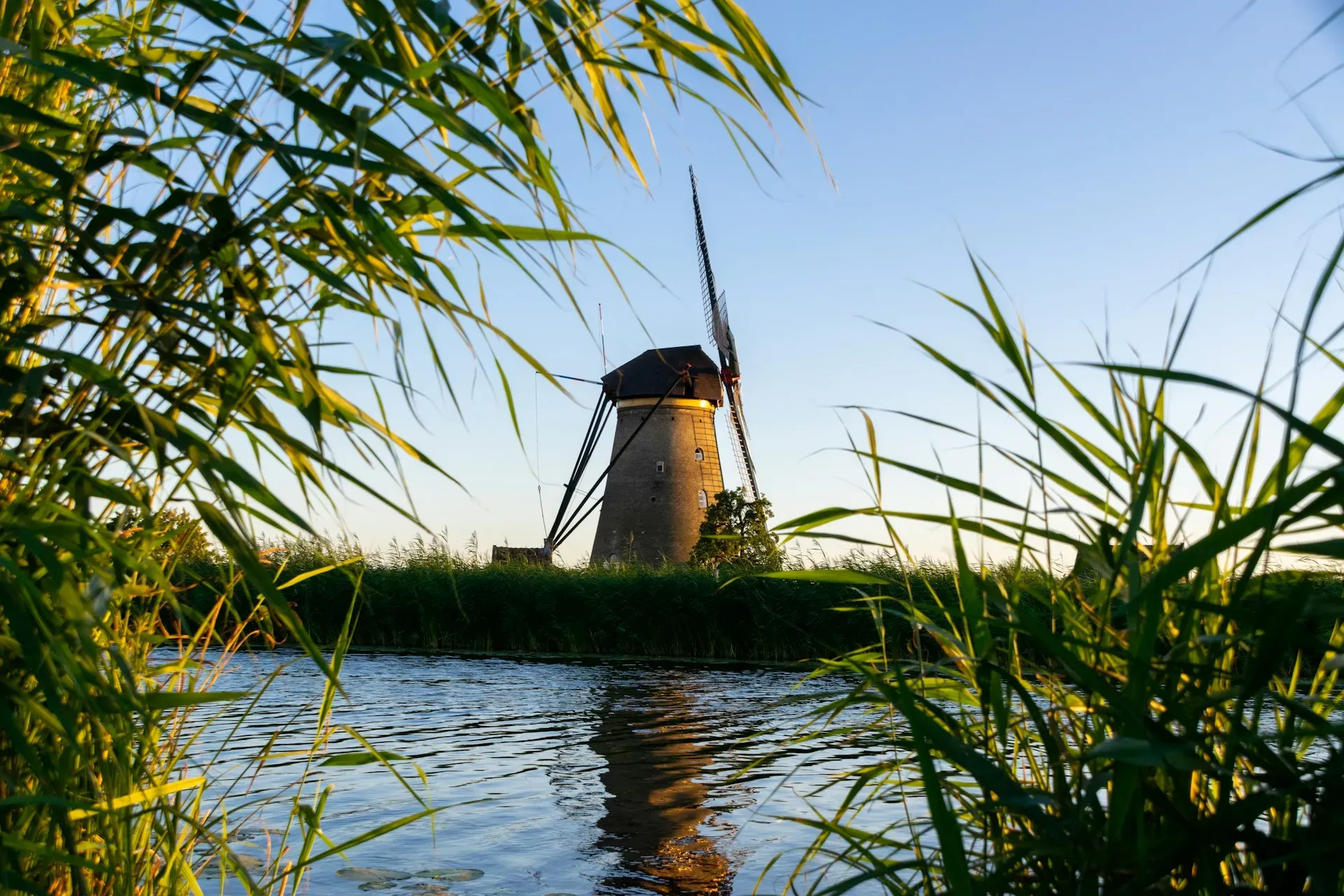 Live Mindfully — retreat center