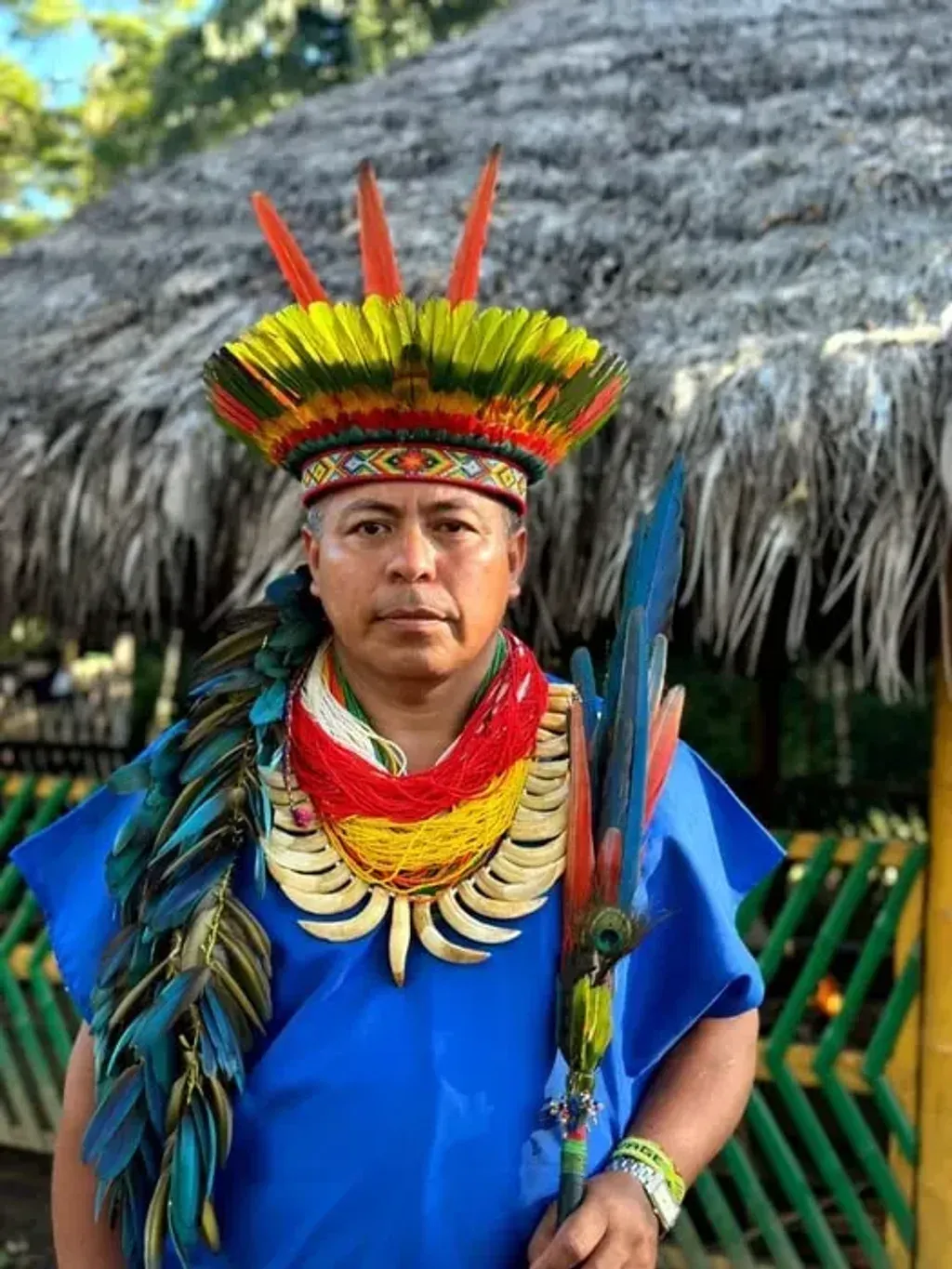 Love Retreats Putumayo Colombia — The retreat is situated deep within the Sucumbios department of Putumayo, Colombia, offering a genuine jungle experience. Guests will be at Taita Lorenzo Morales' home, surrounded by lush vegetation and the sounds of nature. A river flows nearby, providing opportunities for refreshing dips.