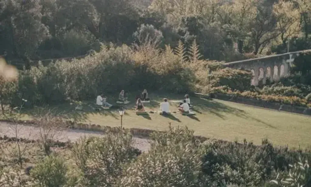 Lucid Retreats — The retreat is situated in a stunning natural environment in Portugal, providing a serene and inspiring backdrop for deep introspection and healing. The venue itself boasts luxury accommodations, ensuring comfort and tranquility throughout your stay.