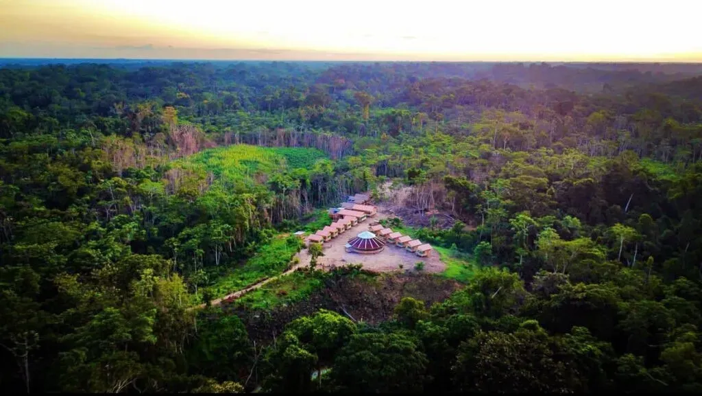 lucie barinkova — set in the vast and vibrant Acre Amazon jungle, the center offers an unparalleled immersion in nature. The atmosphere is one of deep respect for indigenous culture and the surrounding ecosystem, providing a tranquil yet stimulating environment for spiritual exploration.