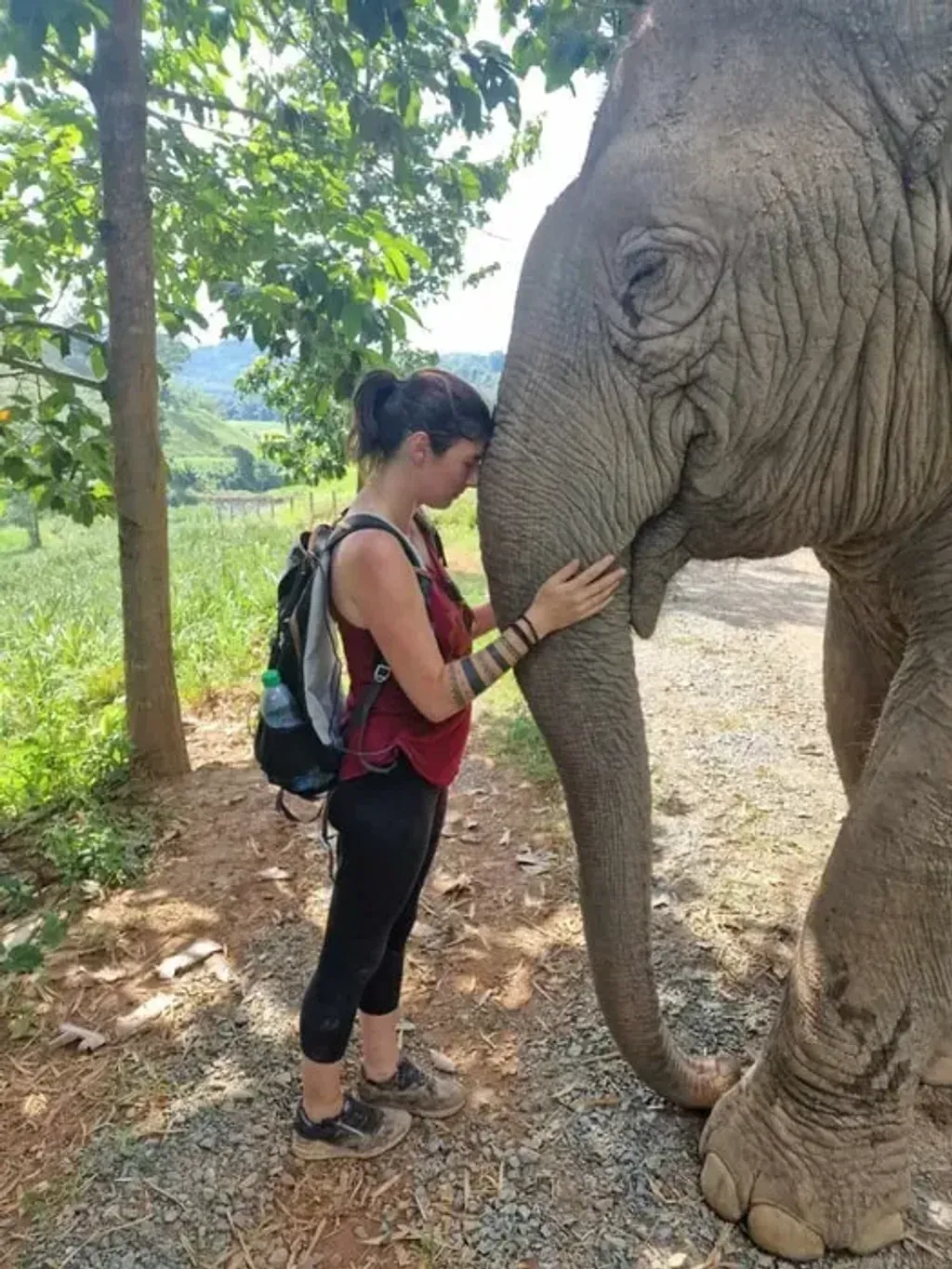lululorenz.co — The retreat unfolds in the heart of northern Thailand's natural beauty, surrounded by majestic mountains, lush forests, and tranquil landscapes. Guests are immersed in an authentic local village experience, with the added charm of being close to an ethical elephant sanctuary. This simple, natural environment provides an ideal backdrop for slowing down and deeply reconnecting with the natural world.