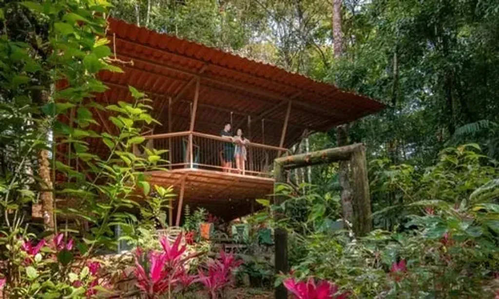 Luna Vida Adventures — set in the lush landscapes of Esquipulas, Costa Rica, Luna Vida Adventures at Chorro Ecolodge offers a serene escape with spectacular mountain and river views. The natural beauty of the area is immense, providing a perfect backdrop for birding, nature hikes, and exploring waterfalls. Guests can truly immerse themselves in the tranquility of the Costa Rican wilderness.