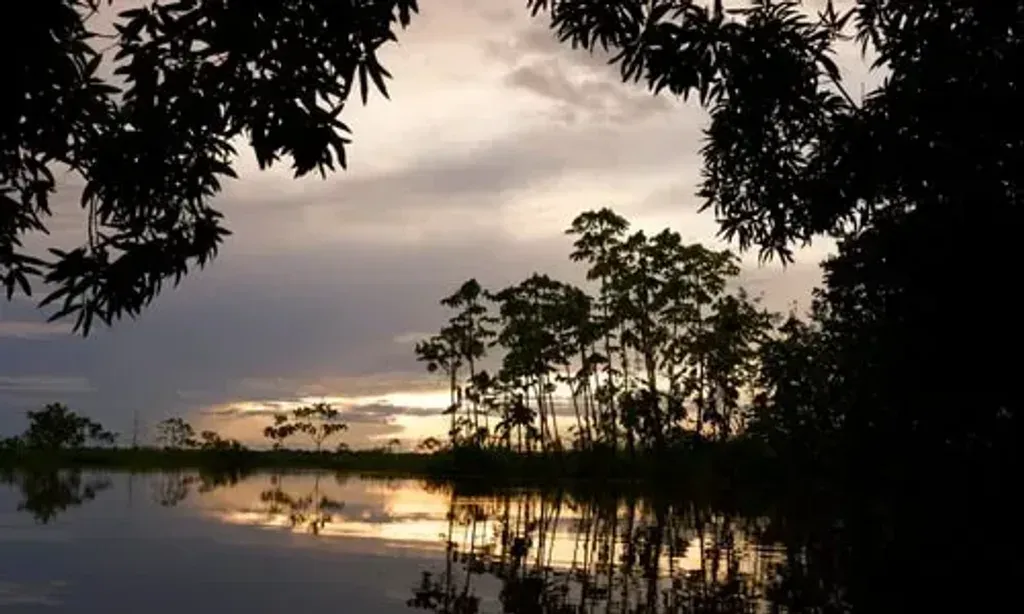 Luz del Amazonas — set in the heart of the Peruvian Amazon, Luz del Amazonas provides an immersive natural environment. The lush rainforest surroundings offer a tranquil backdrop for deep introspection and connection with the natural world. Expect vibrant biodiversity and the sounds of the jungle as your constant companions.