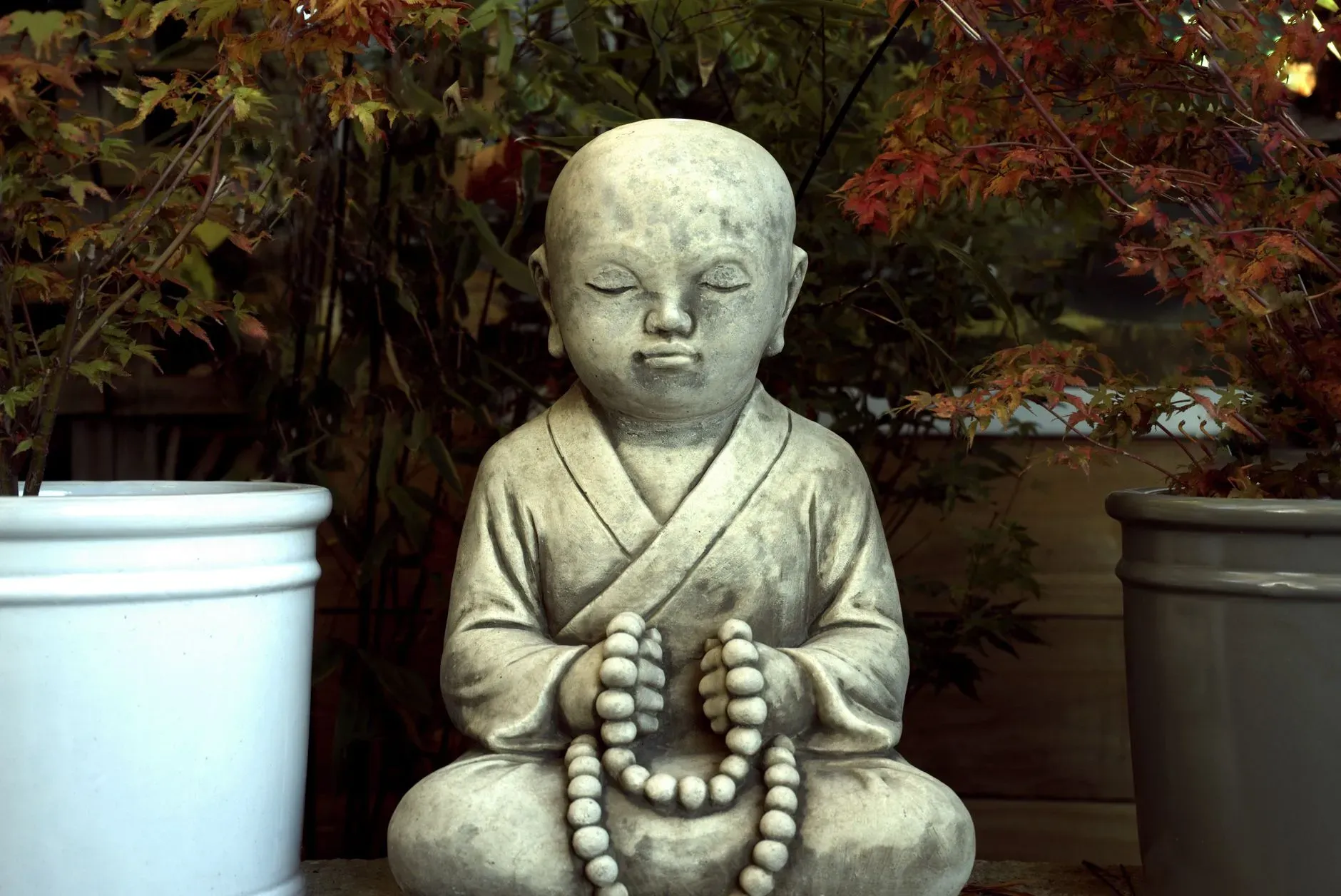 Madreselva - Healing Retreat — retreat center