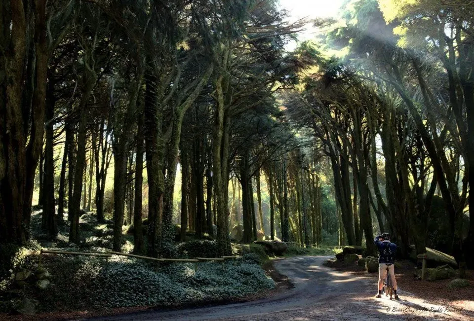 MagicMycelium — MagicMycelium retreats are typically held within the picturesque Sintra Natural Park in Portugal. This stunning natural landscape provides a tranquil and inspiring backdrop for introspection and personal growth, offering a sense of peace and seclusion away from daily distractions.