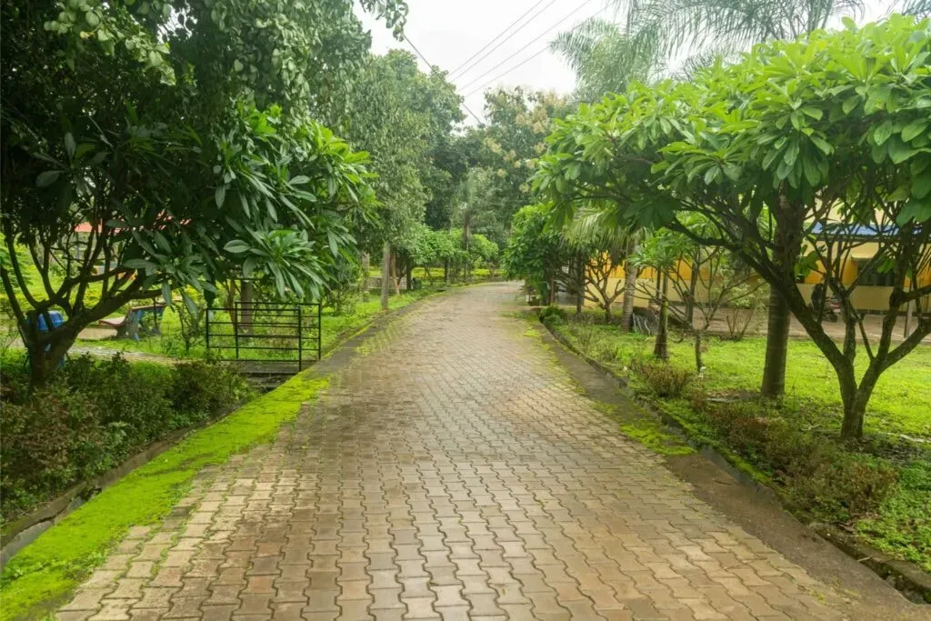 Mahishi Trust Yoga & Nature Retreat — The retreat is situated in Karnataka, offering a natural and peaceful environment conducive to healing and relaxation. The location provides a serene backdrop for yoga and naturopathy practices, allowing guests to disconnect from daily stresses and reconnect with nature.